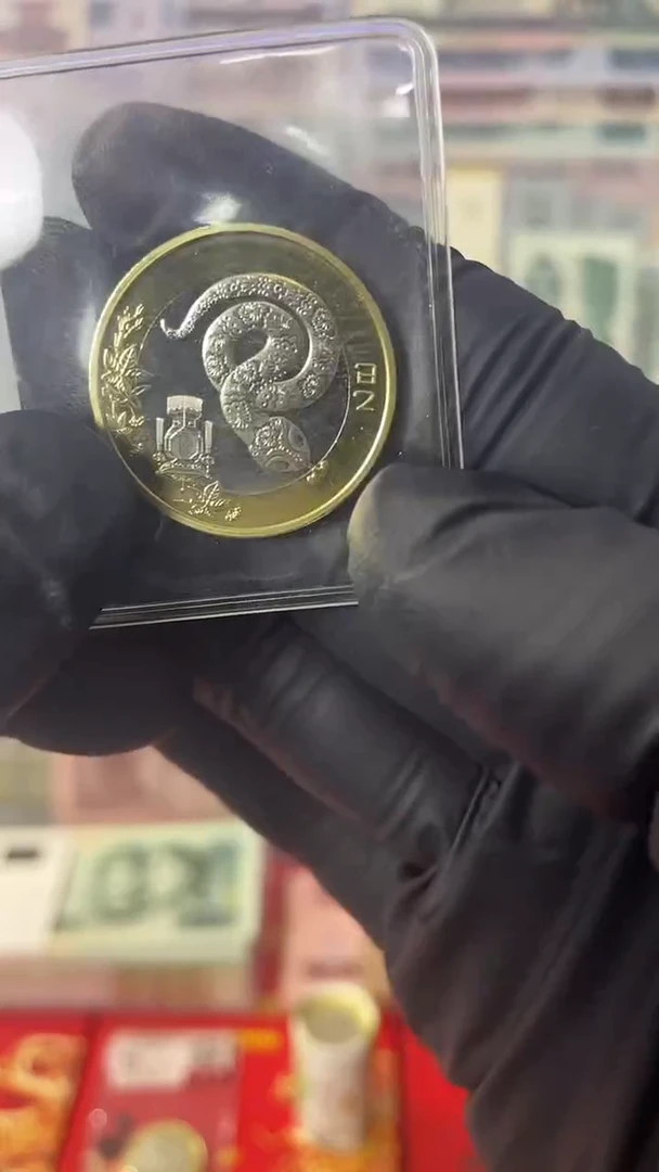 其他普通金属2025蛇年生肖纪念币面值10*1