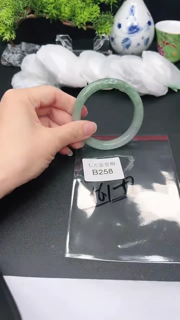 未镶嵌手镯翡翠258