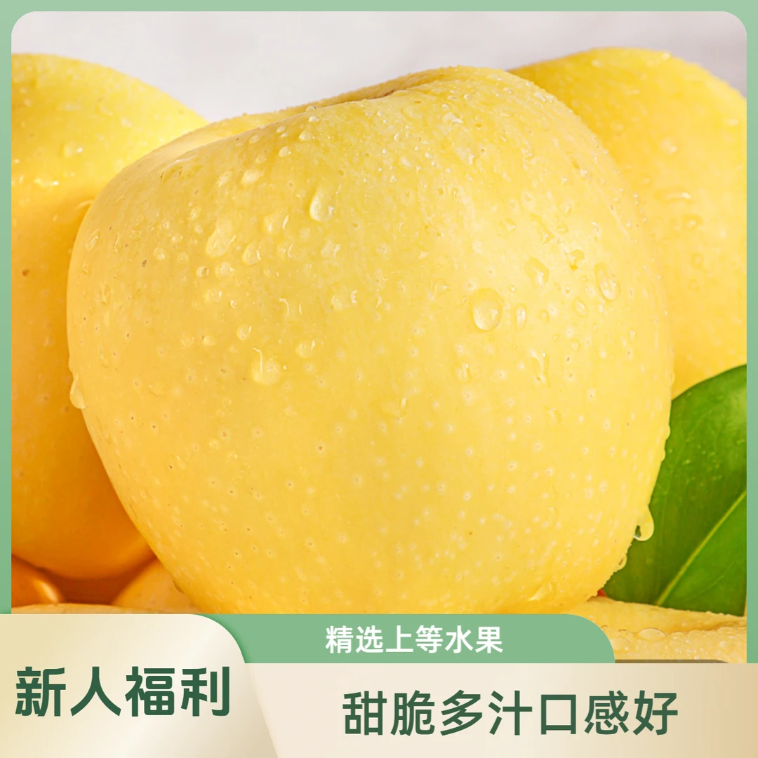 【新人福利】黄金维纳斯苹果正宗山东烟台产地霜降后采摘纯甜无酸