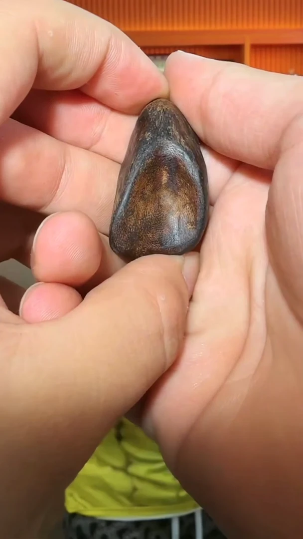 沉香吊坠60号瘤疤舍利子多样性发一