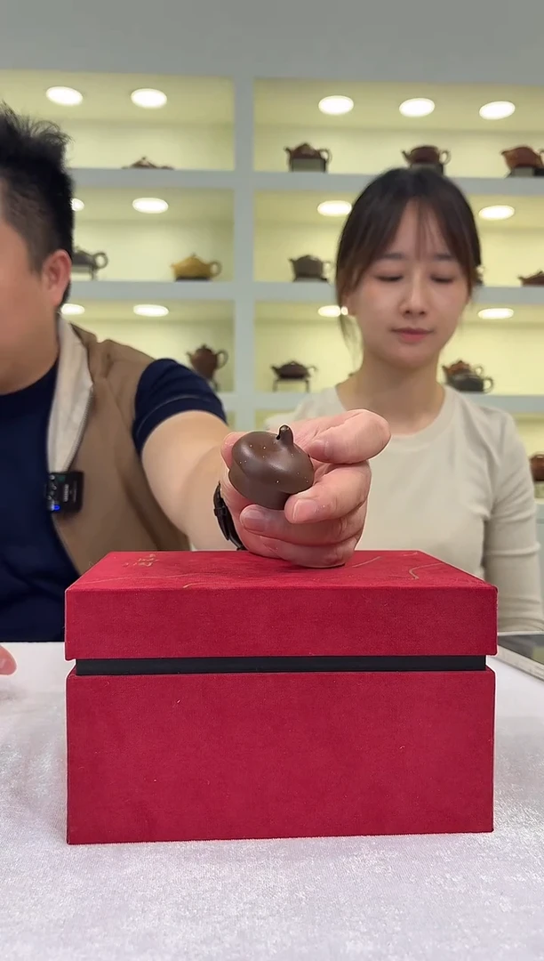 BGZ-0269紫砂盖子