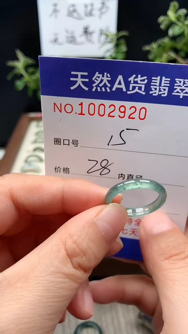 未镶嵌戒指翡翠15#