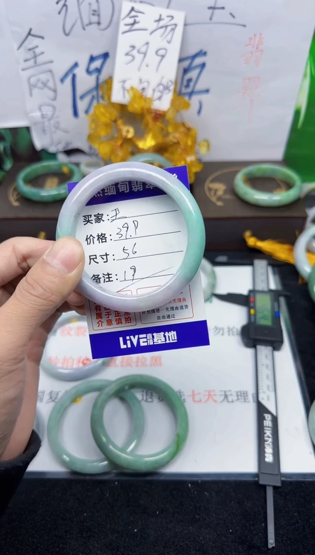 未镶嵌手镯翡翠玊19