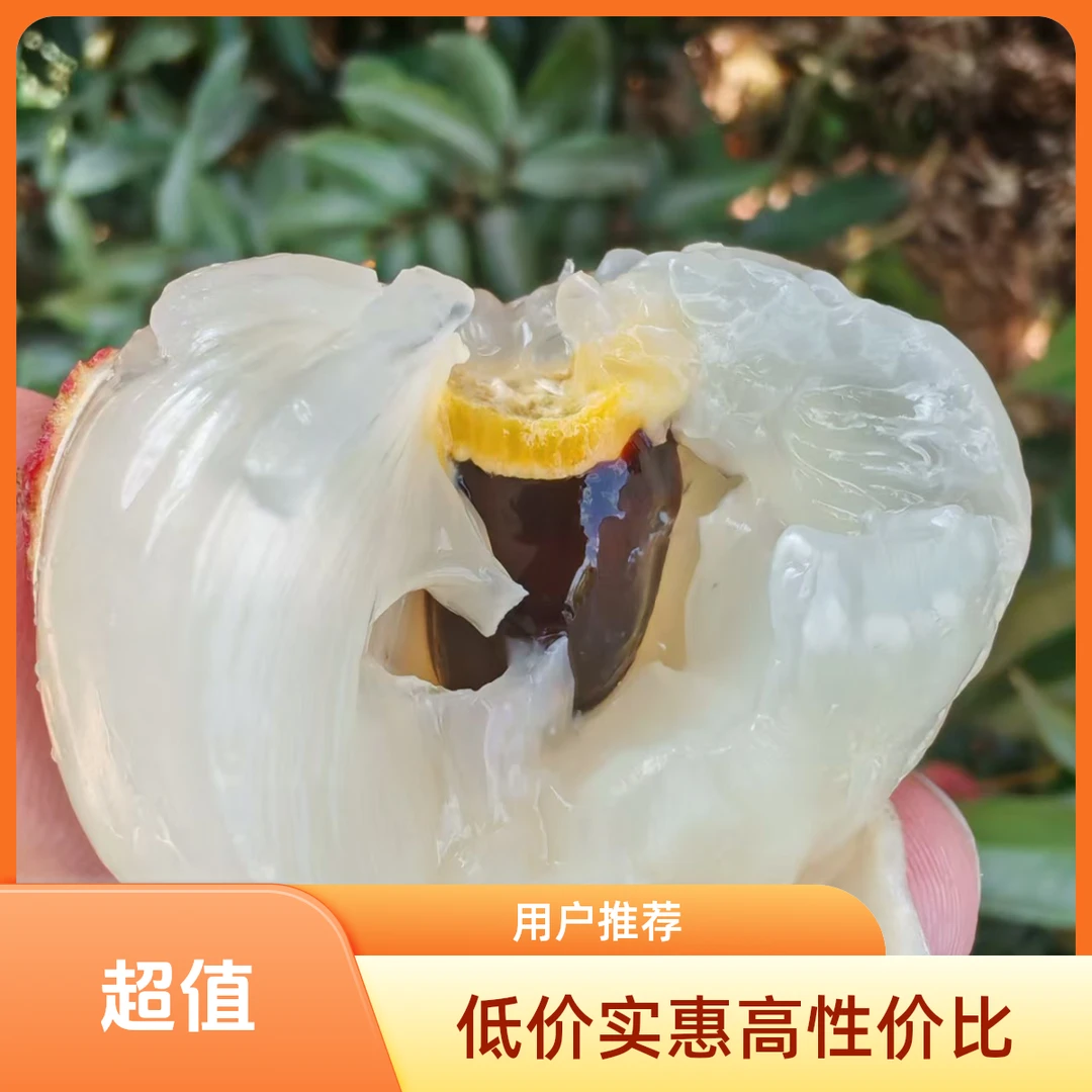 广西北海合浦香山鸡嘴荔枝荔枝同城送