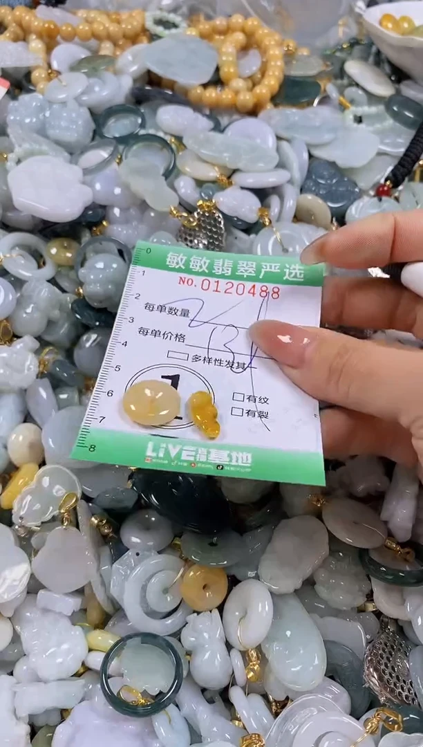 【闪购商品】翡翠颈饰未镶嵌闪购0120488