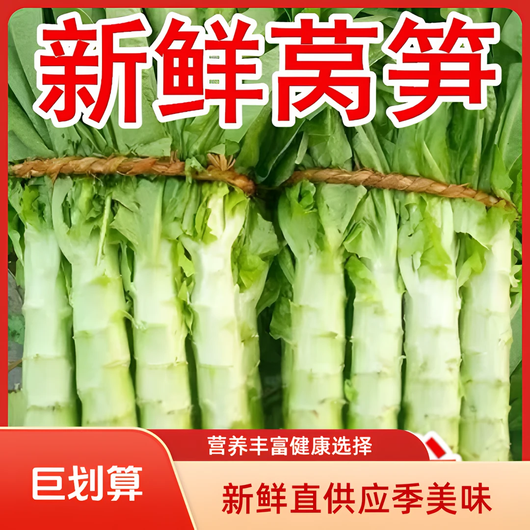 【朱湖长湾村】露天当季新鲜青肉莴笋现摘现发