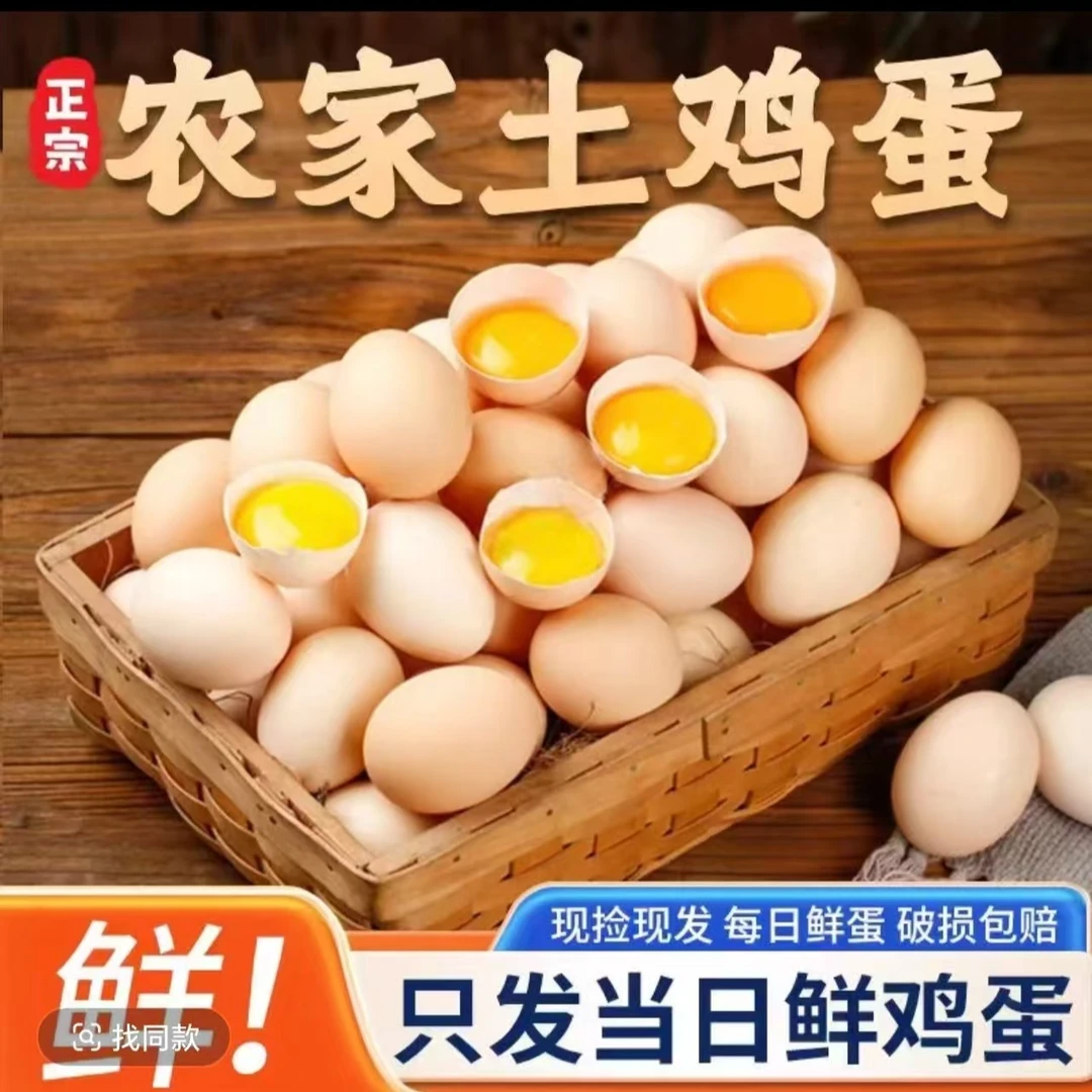【A】50枚土鸡蛋 新鲜现捡现发 破损包赔