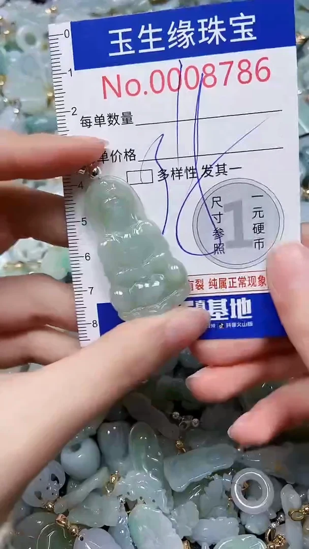 【闪购商品】翡翠颈饰未镶嵌闪购00008786