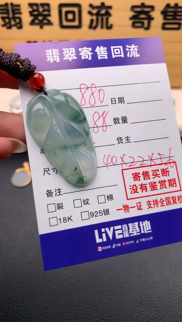 【闪购商品】翡翠颈饰未镶嵌21009575