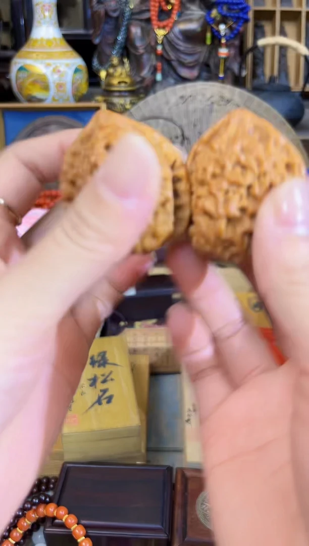 风车木（黑檀木）1