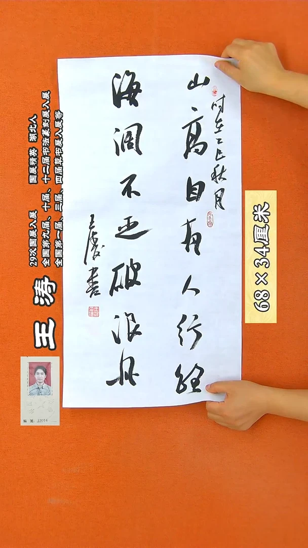 书法50R王涛书法作品