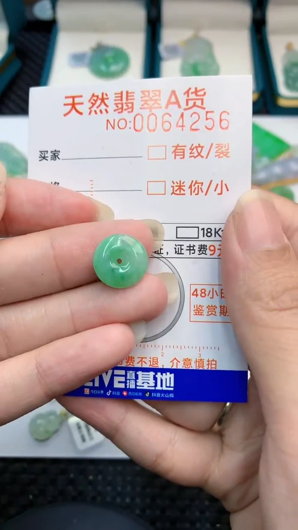 【闪购商品】翡翠颈饰未镶嵌            8