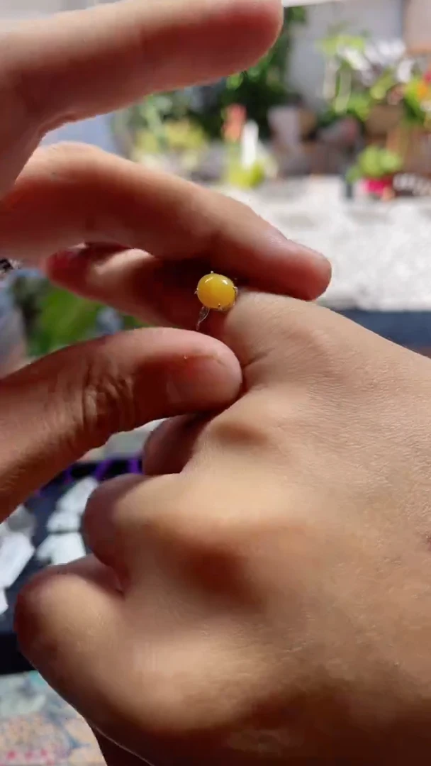 未镶嵌手链翡翠戒指