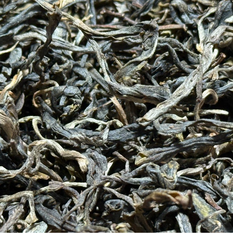 2020年小户赛古树 头春头采  普洱茶 生茶  散茶  100g