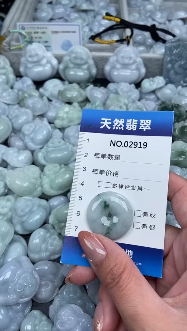 颈饰未镶嵌翡翠纯天然A货翡翠2919