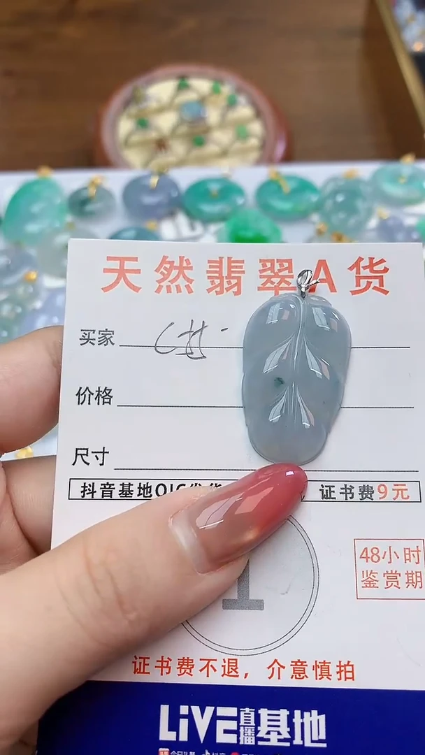 颈饰未镶嵌翡翠天然A货翡翠挂件
