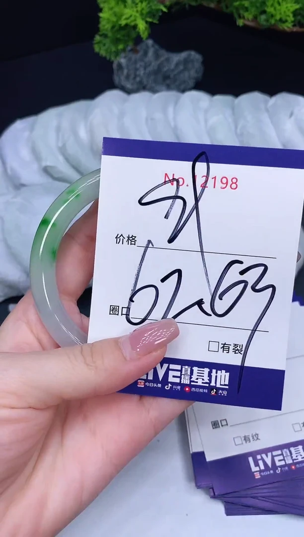 未镶嵌手镯翡翠12198