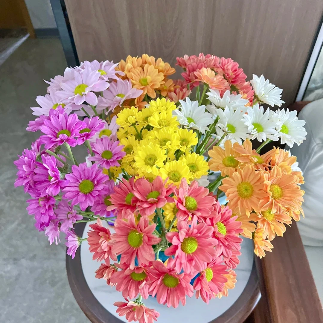 【源头优选】小菊-任意2单鲜花包邮 发货后不支持退款