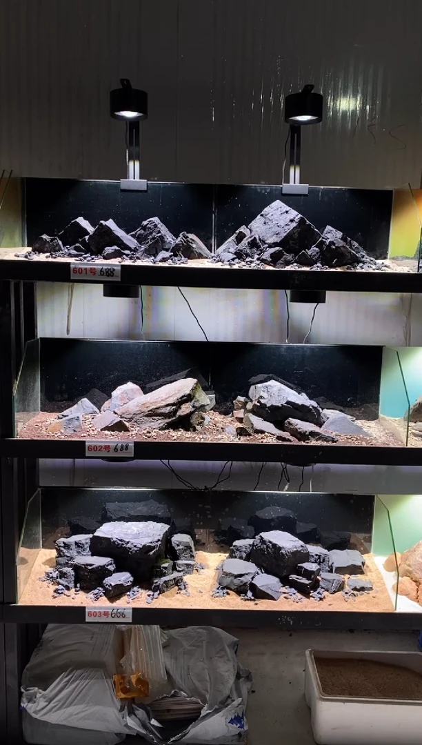 602号鱼缸造景（不含底砂）
