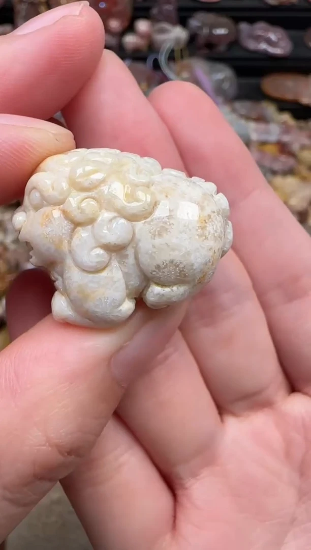 颈饰未镶嵌硅化珊瑚（珊瑚玉）069