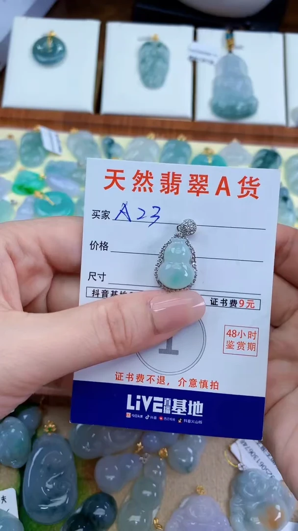 颈饰未镶嵌翡翠天然A货翡翠挂件