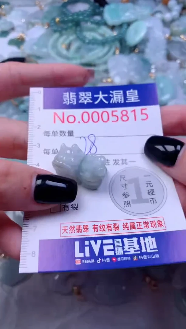 颈饰未镶嵌翡翠5815