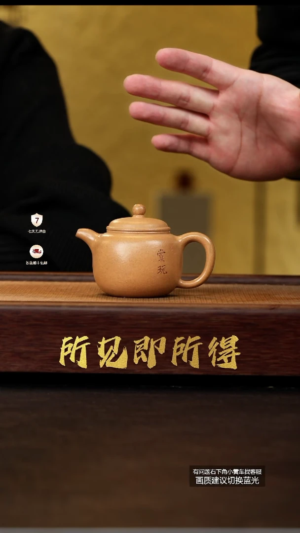 茶壶紫砂蒋工堂原矿老宕口黄金段赏玩匏樽