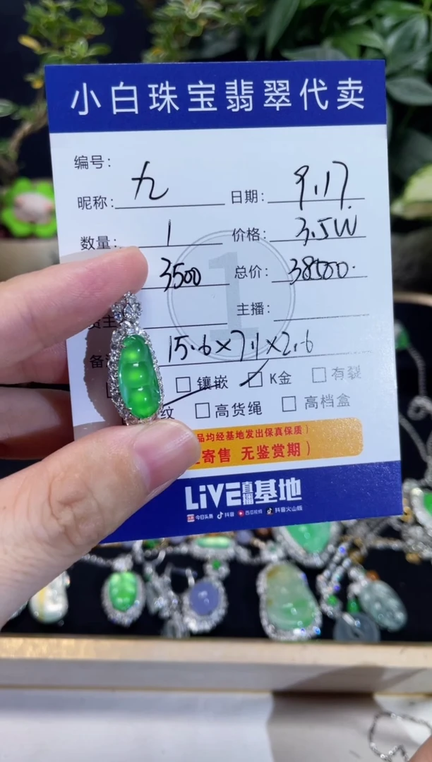 吊坠(不含链)18K金镶嵌翡翠九*吊坠