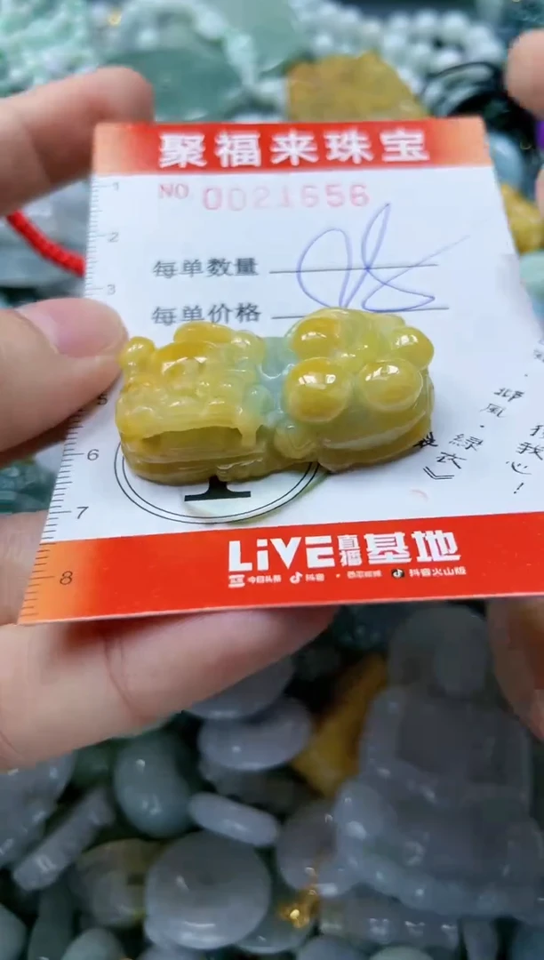 【闪购商品】翡翠颈饰未镶嵌闪购0021656