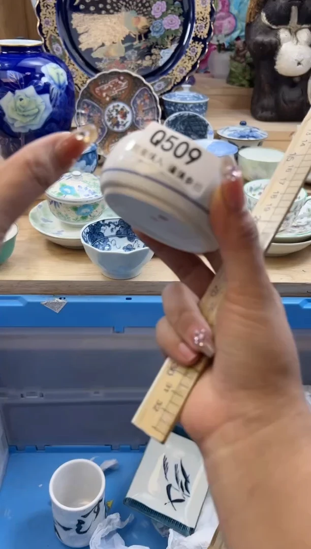 【闪购商品】瓷片509qqqqqqqqqqqq