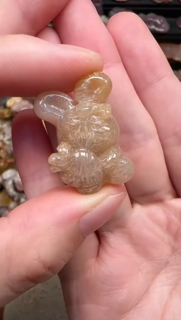 颈饰未镶嵌硅化珊瑚（珊瑚玉）028