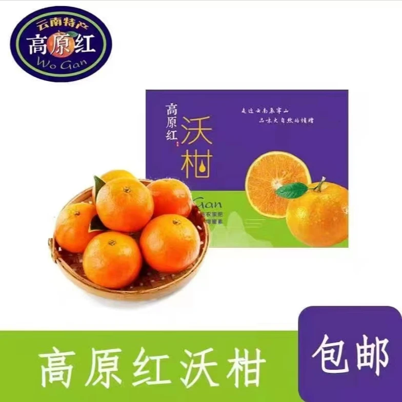 沃柑已农残检测云南高原红沃柑高海拔更浓郁纯正的沃柑