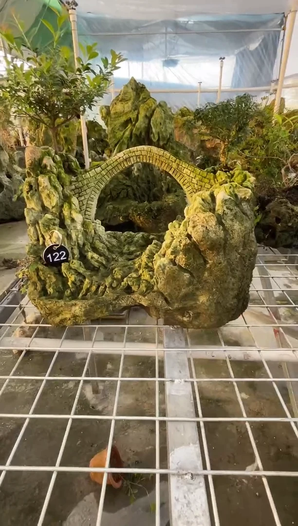 造型吴定石一物一拍专属