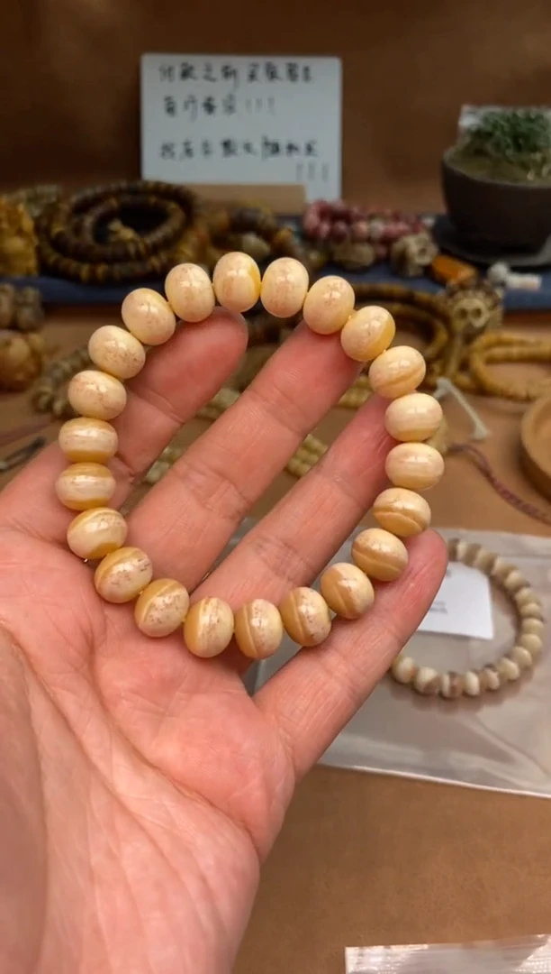 【闪购商品】驼骨其他驼骨手作S57