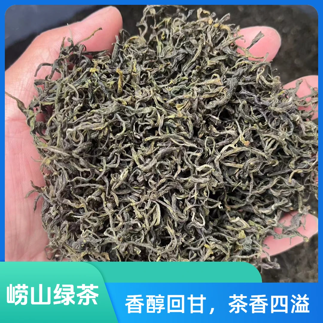 崂山绿茶  2025年新茶四月份手工碧螺春 绿茶
