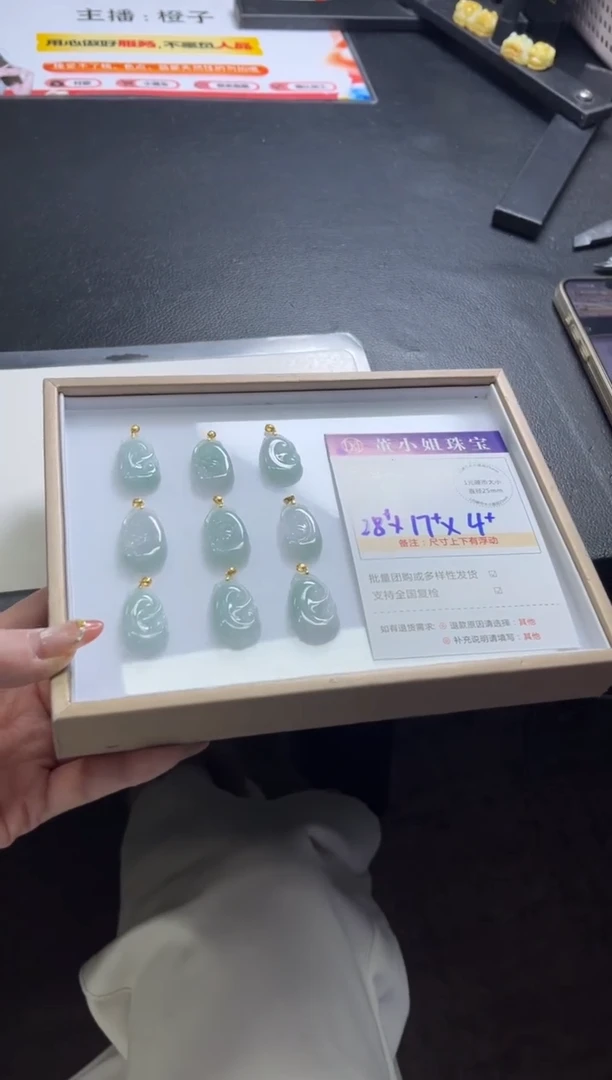 颈饰银S925镶嵌翡翠E14/多样性发一件/配绳子