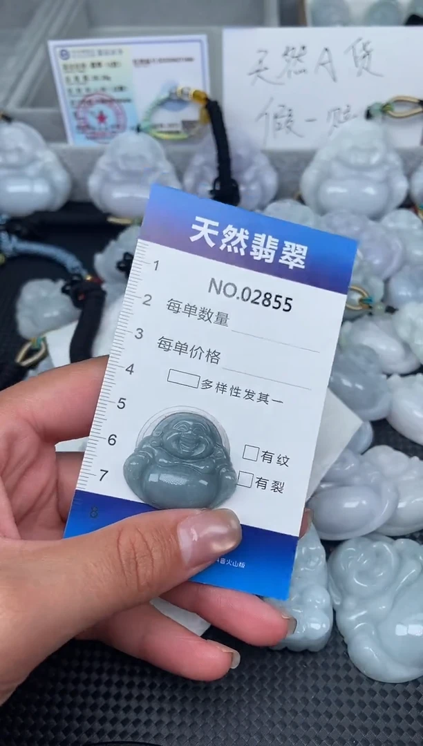 颈饰未镶嵌翡翠纯天然A货翡翠2855