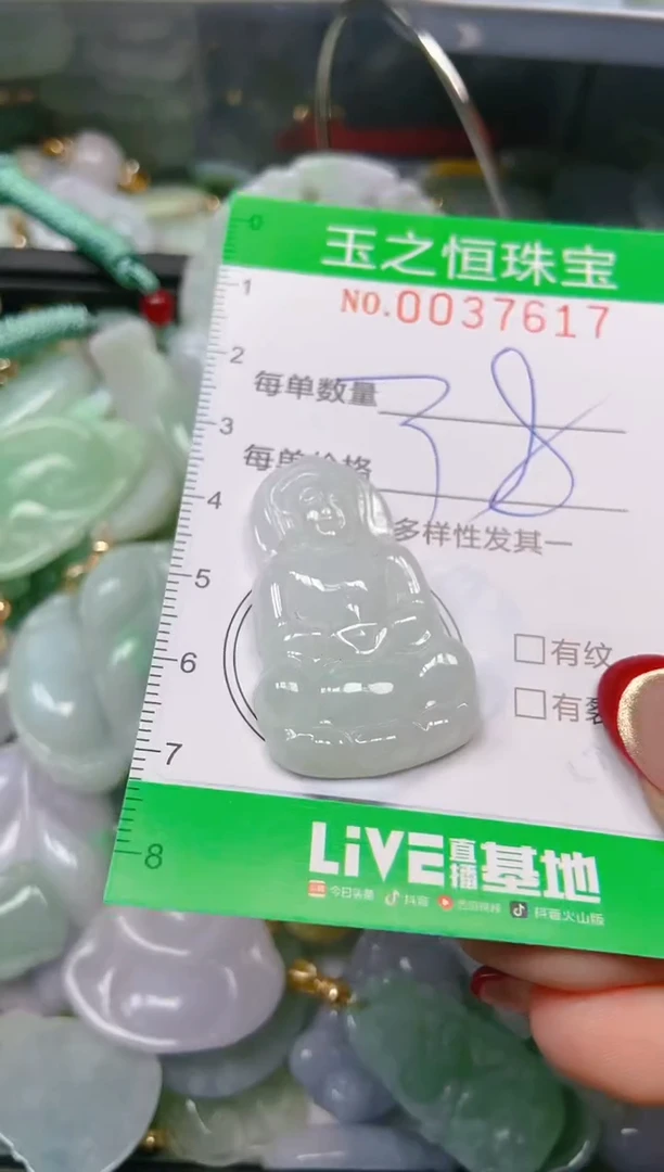 【闪购商品】翡翠颈饰未镶嵌闪购0037617