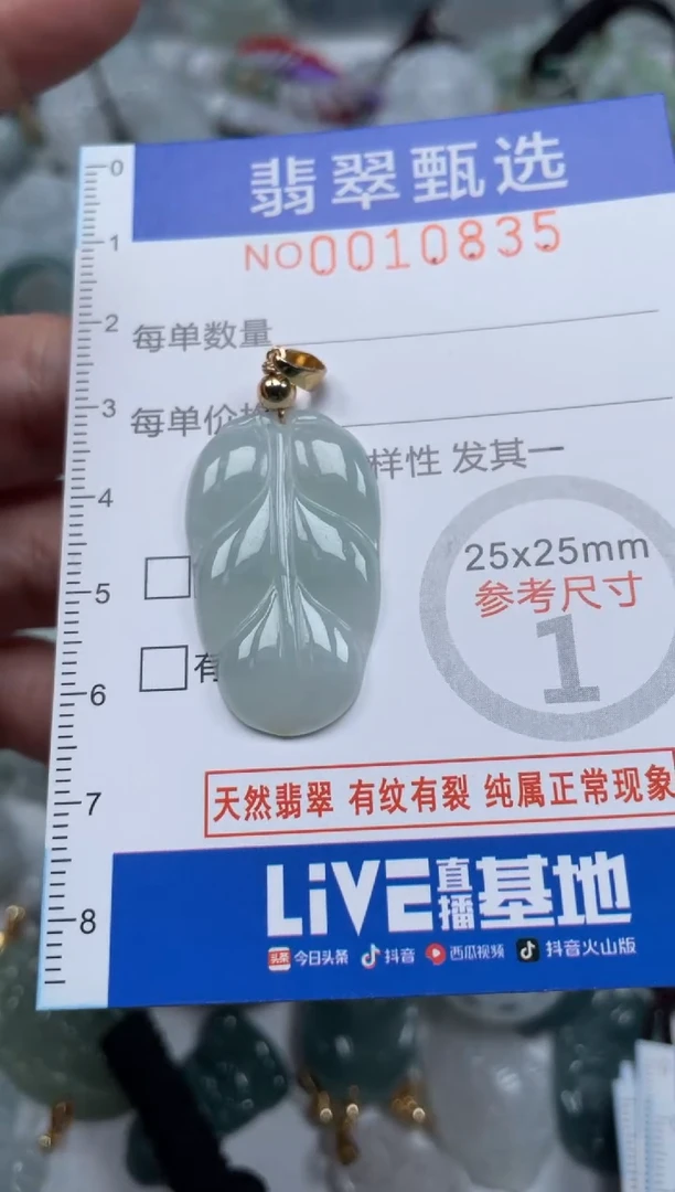 颈饰未镶嵌翡翠10835