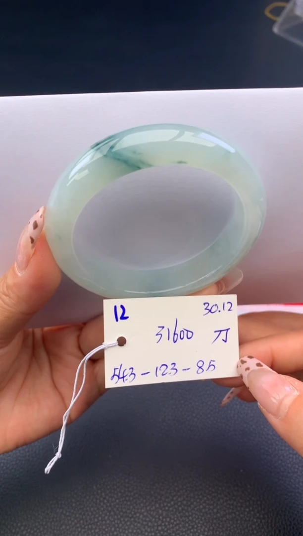 未镶嵌手镯翡翠假一赔三   手镯