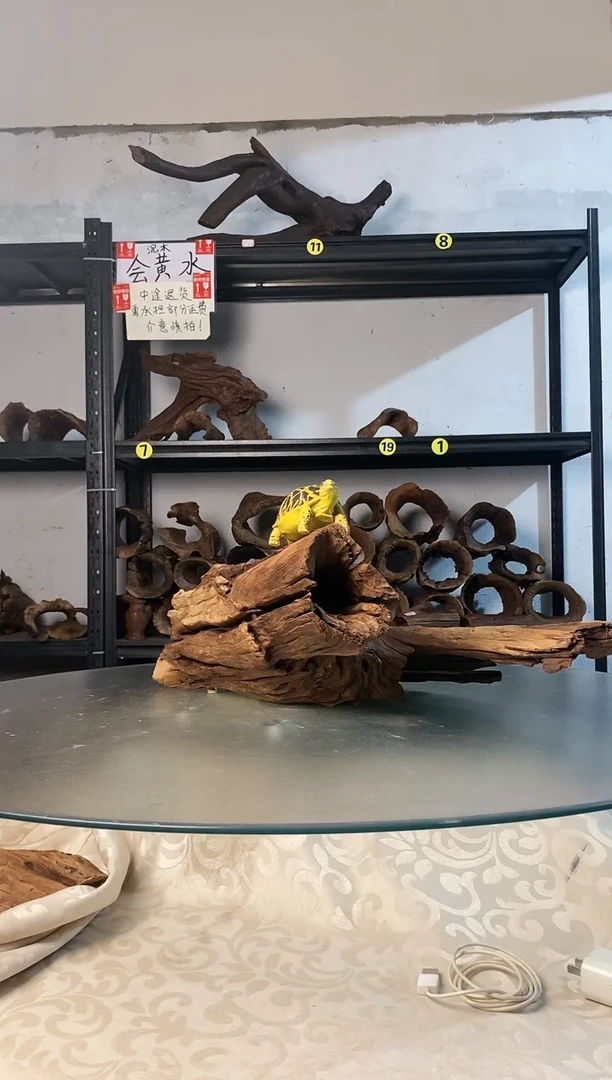 三***东鱼缸爬宠造景素材447