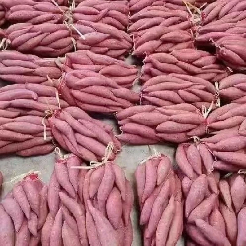 【半价抢】超甜新鲜西瓜红蜜薯正宗红心蜜薯板栗薯番薯地瓜蔬菜烟薯