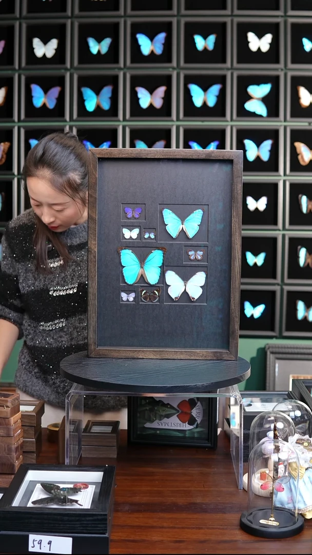 人间九秀标本摆件香樟木框