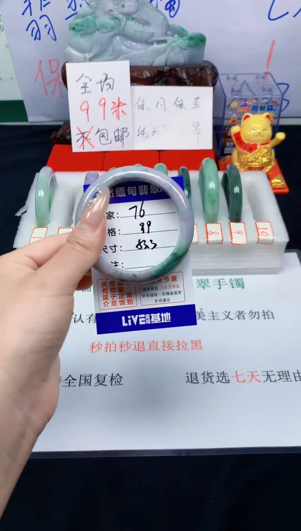 未镶嵌手镯翡翠76