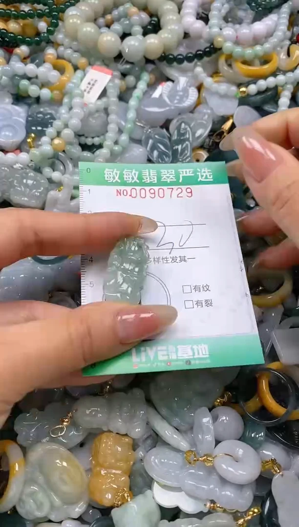 【闪购商品】翡翠颈饰未镶嵌闪购0090729