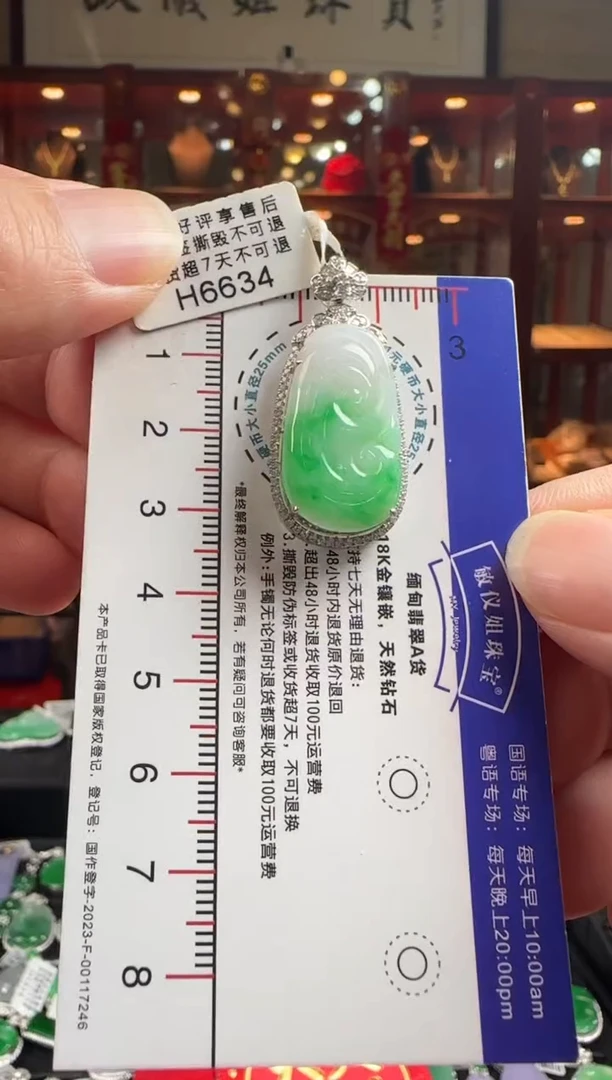 【闪购商品】翡翠颈饰18K金镶嵌H6634如意
