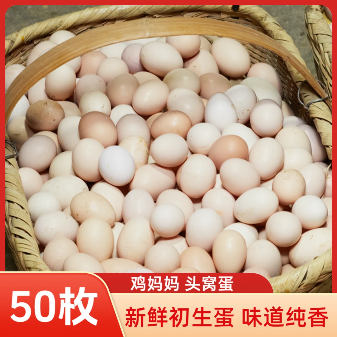 【整箱50枚】正宗农家散养土鸡蛋初生蛋新鲜开产蛋 净重2000gTG