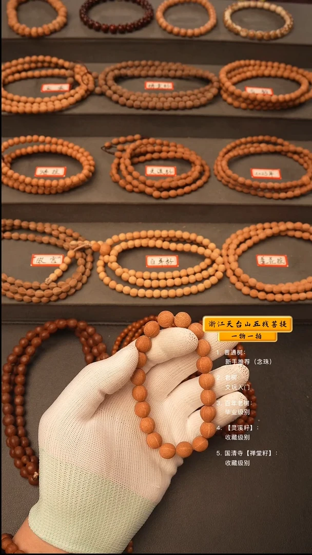 吊坠五线菩提手串