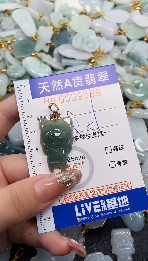 翡翠未镶嵌颈饰天然A货翡翠