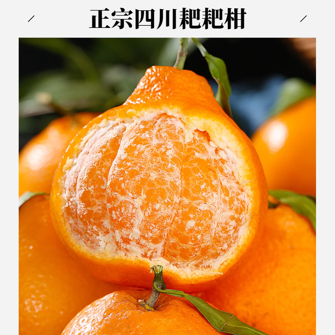 正宗四川春见耙耙柑新鲜现摘手剥橘子丑橘柑橘爆汁香甜整箱包邮